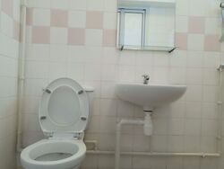 Blk 393 Tampines Avenue 7 (Tampines), HDB 5 Rooms #451631441